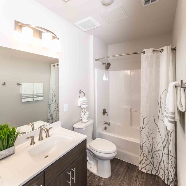 Encore at Forest Park - Modern Bathroom with Dark Wood Vanity