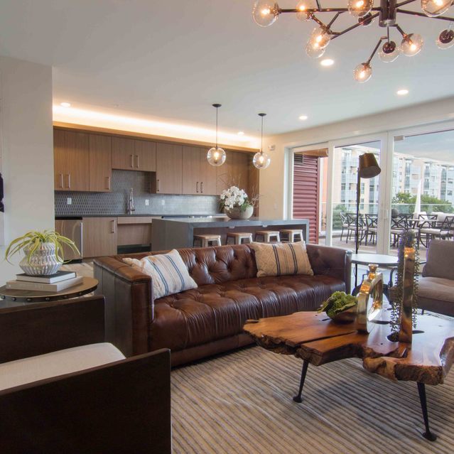 Encore at Forest Park - Modern Living Room With Stylish Furniture